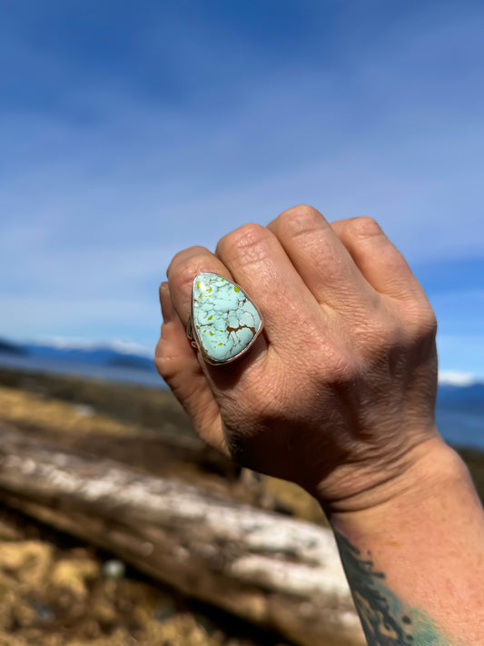 Valle De La Luna Turquoise Ring Size 8.25