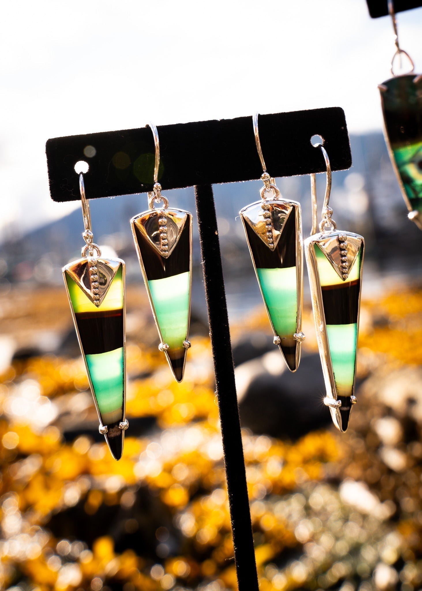 Opalized Wood and Fryite Jasper: Nature's Own Time Capsules