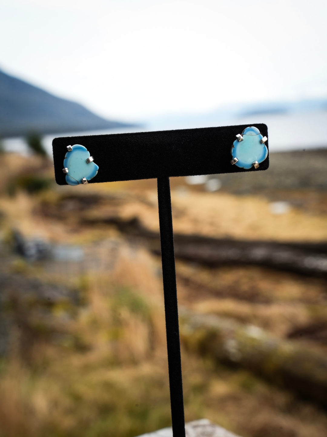 Golden hills Turquoise Split Stud Earrings