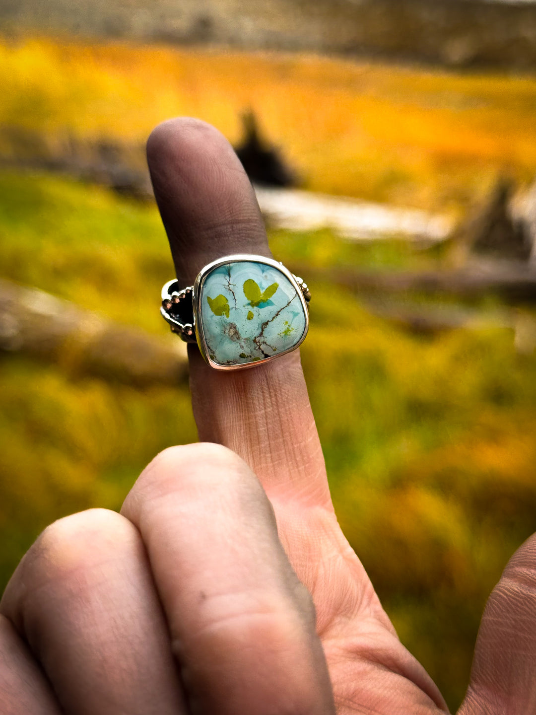Gobi Turquoise Hummingbird Ring